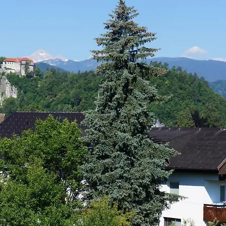 Apartma Tanya Apartment Bled