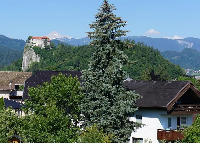 Apartma Tanya 公寓 布莱德