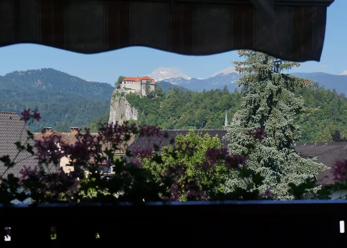 Apartma Tanya 公寓 *